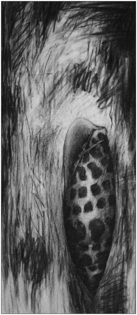 Mitra, Mitra, Taro, Taro rechts boven 1996 - 2007 Werkstuk door Peter Rosier