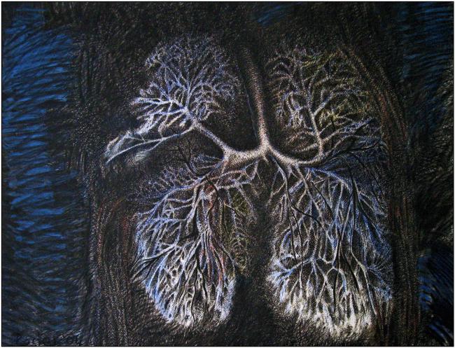 De longen van het licht 2001 Werkstuk door Peter Rosier