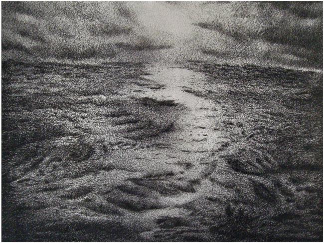 Nat Land 2006 Werk door Peter Rosier