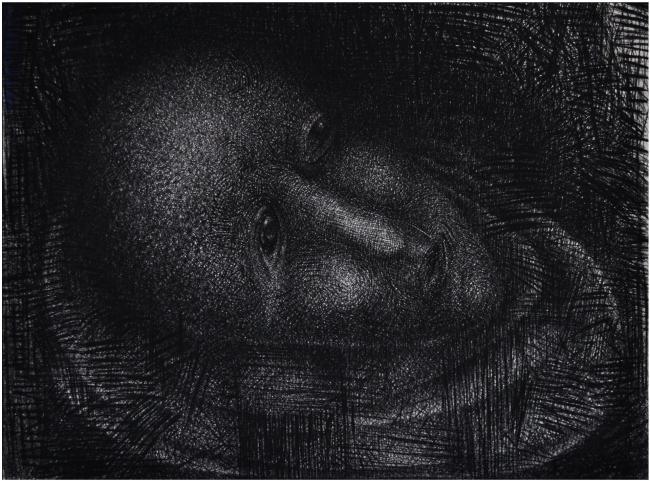 Orpheus 2018 Werkstuk door Peter Rosier