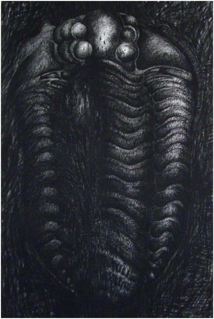 Trilobiet 1996 Werkstuk door Peter Rosier