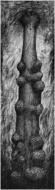 Entre ciel et terre 1997 Werk door Peter Rosier